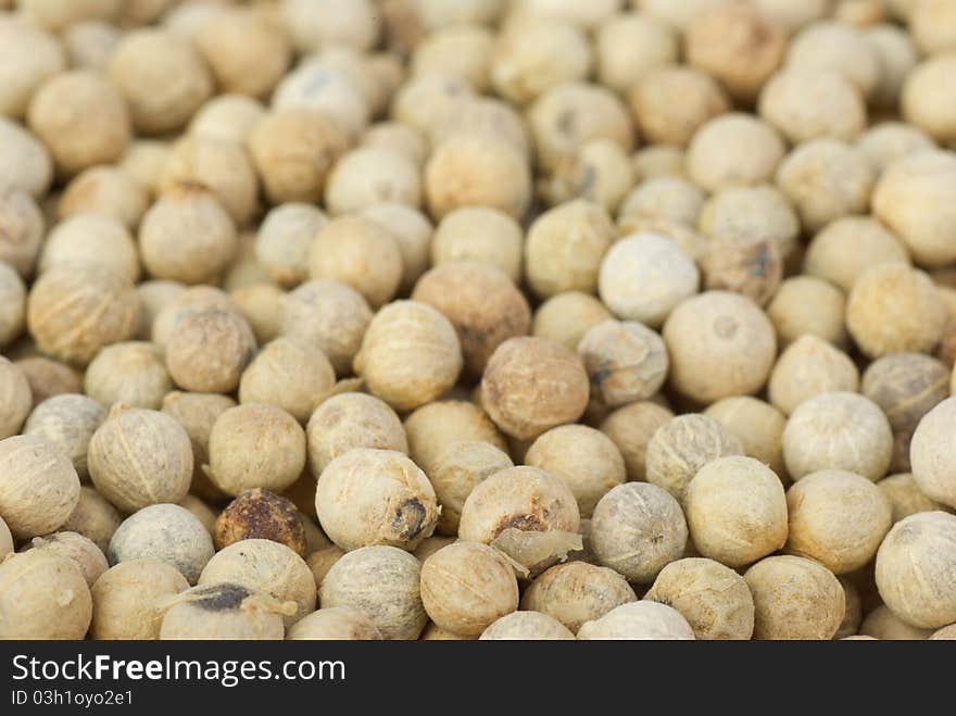 Spices: white pepper grains. Shallow DOF. Focused on lower part of image. Spices: white pepper grains. Shallow DOF. Focused on lower part of image