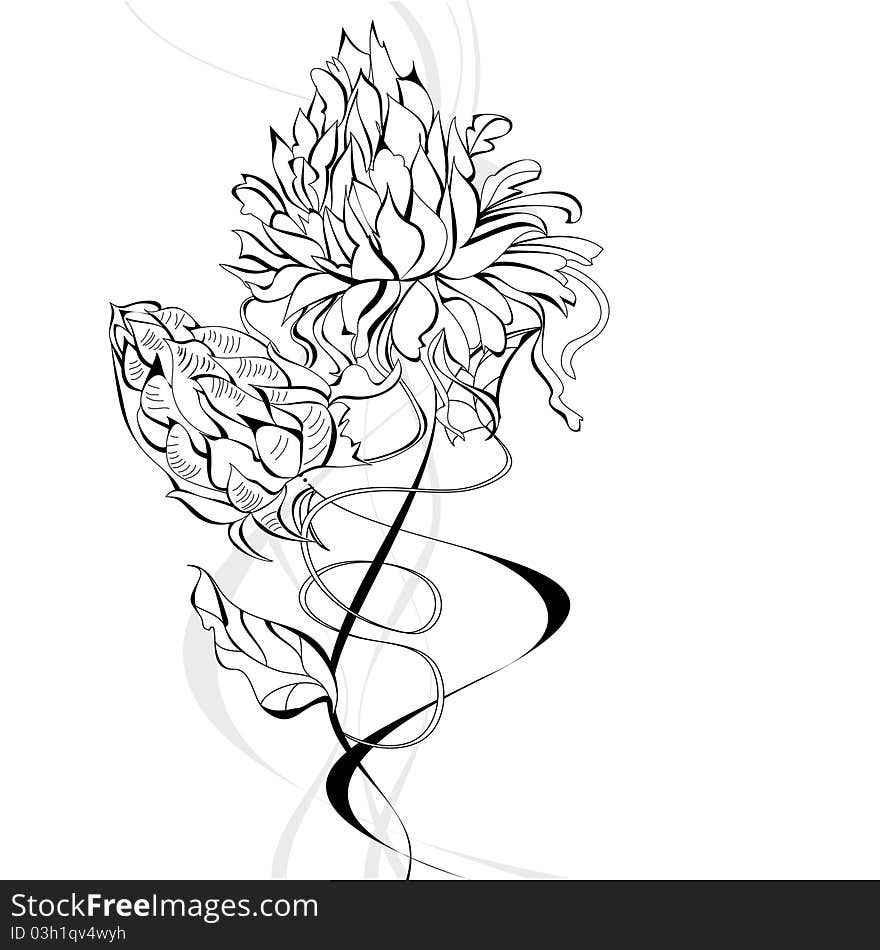 Sketch with beautiful decorative flowers. Sketch with beautiful decorative flowers