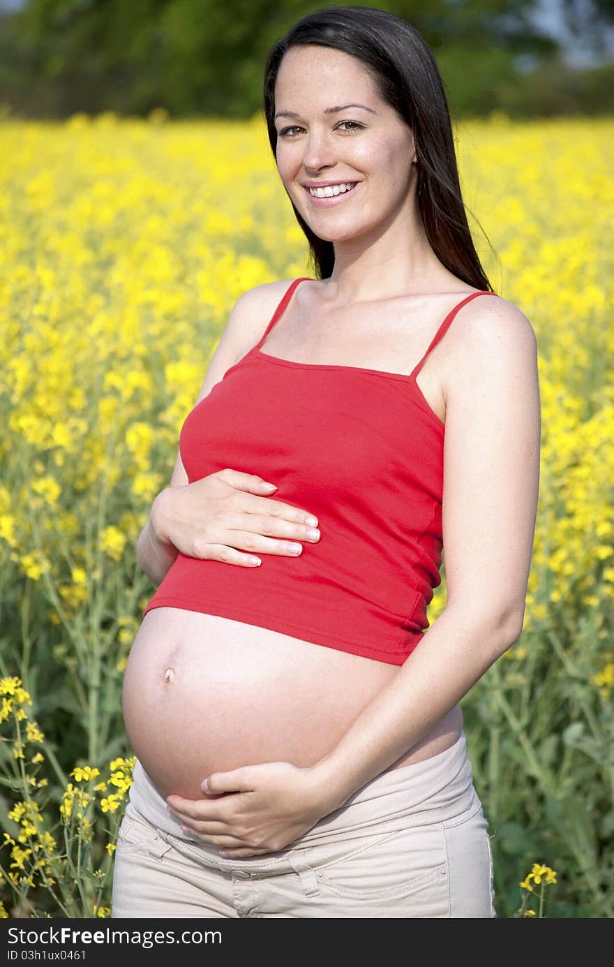 Pregnant woman standing in a beautiful field. Pregnant woman standing in a beautiful field