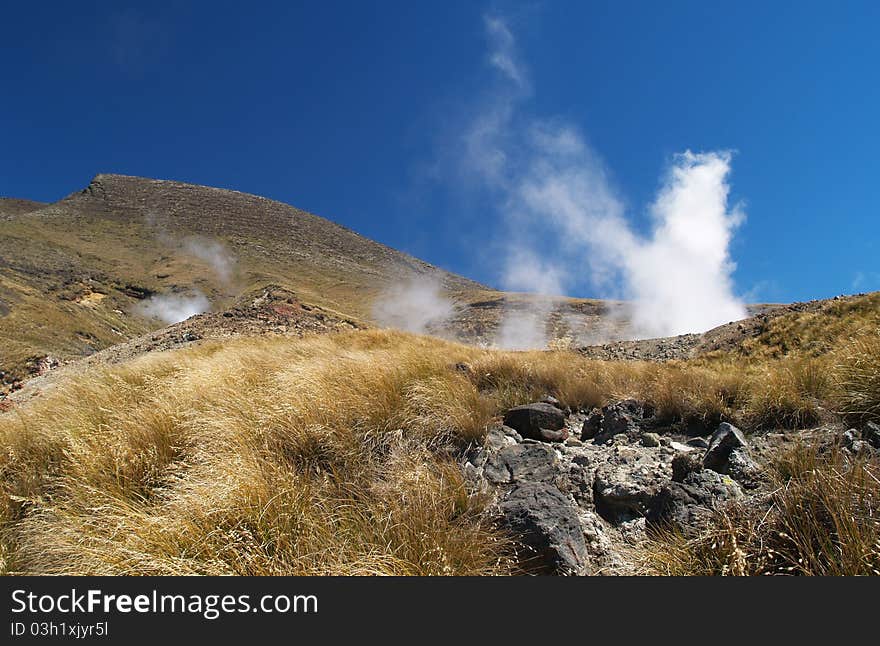 Ketetahi hot springs