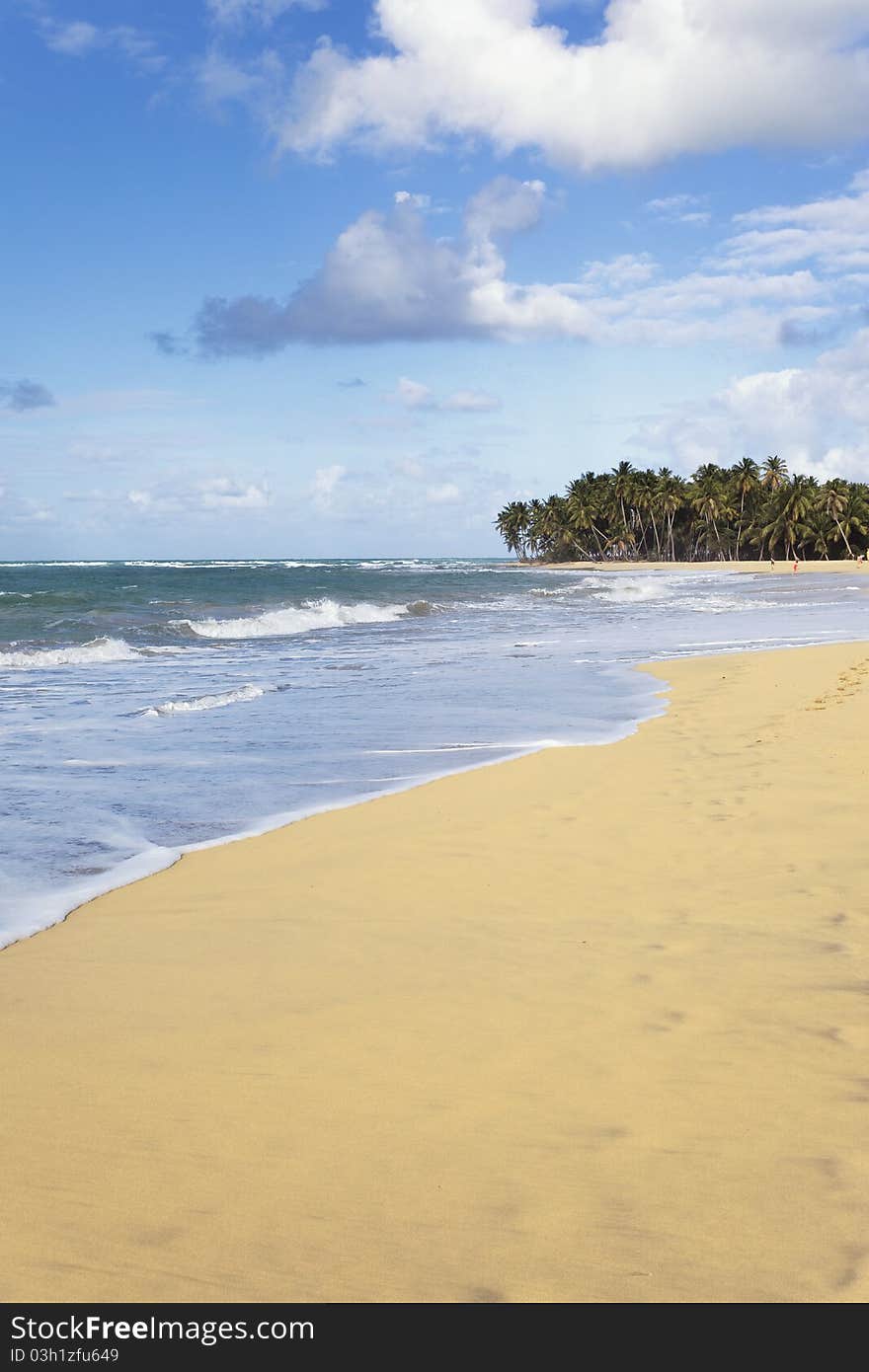 Vertical Beach