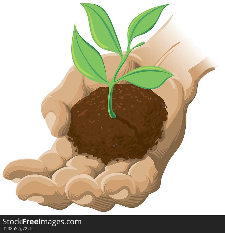 An illustration of a hand holding a plant in soil. An illustration of a hand holding a plant in soil.