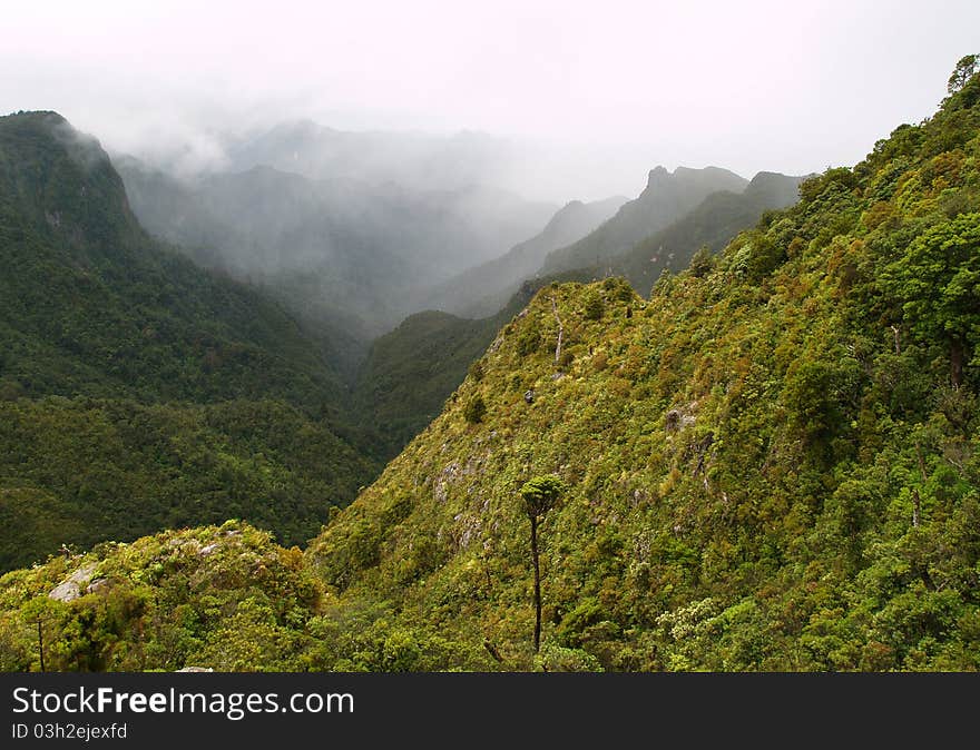 The Pinnacles, Coromandel peninsula, New Zealand