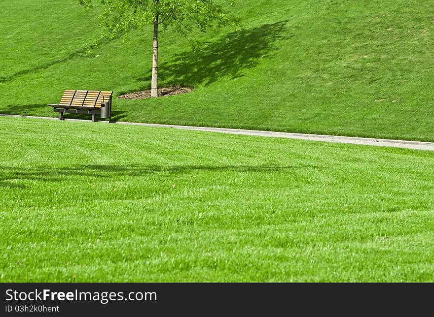 Wooden bench in a city park