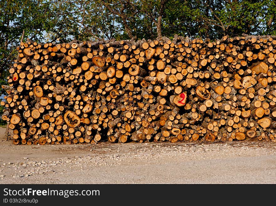 Pile of chopped tries for the cold winter. Pile of chopped tries for the cold winter