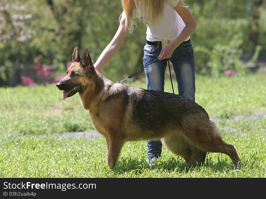 Young woman with dog on natural background