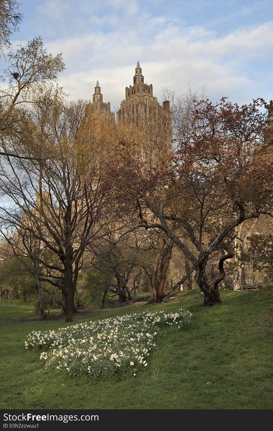 Spring in Central Park