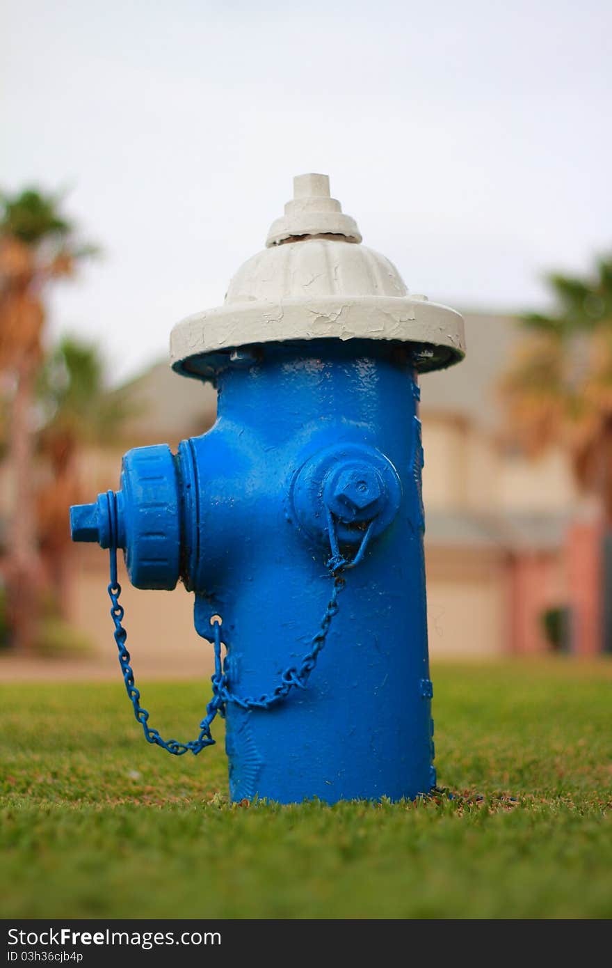 Bright blue fire hydrant connection