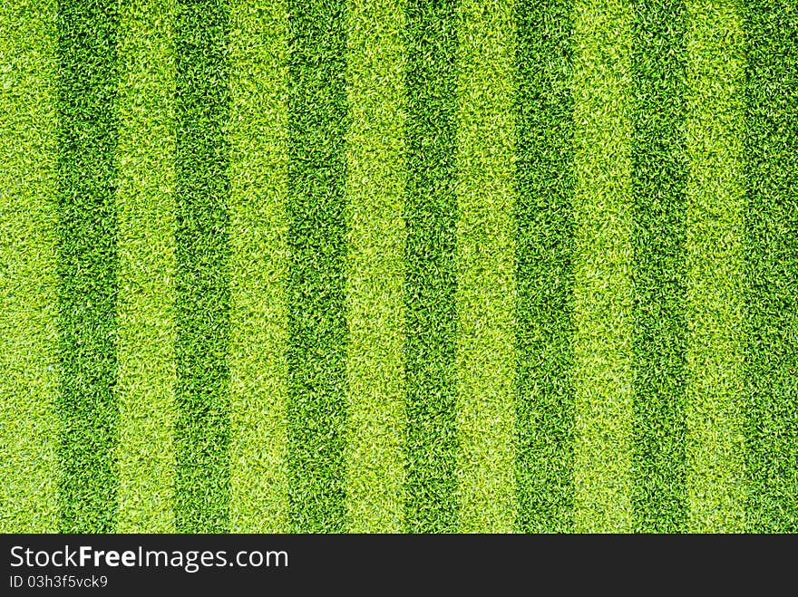 Artificial Grass For Background