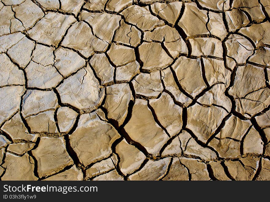 Dried Mud Cracks