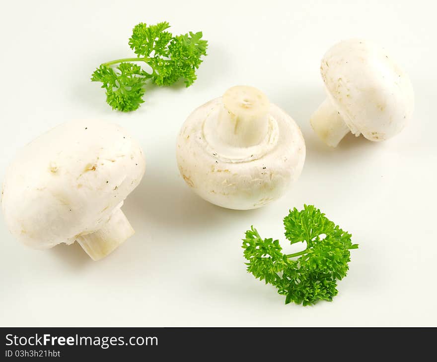 Champignon mushroom with parsley, isolated towards white background. Champignon mushroom with parsley, isolated towards white background