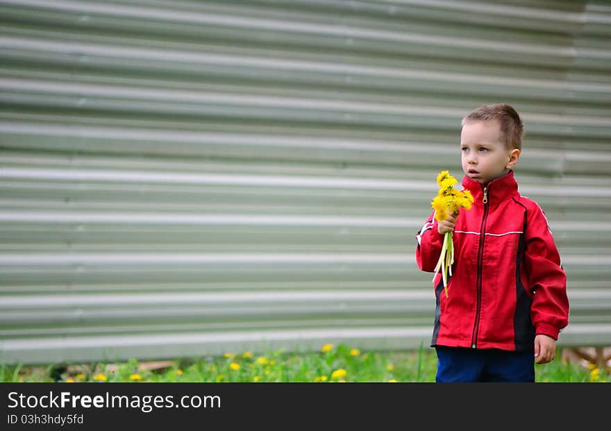 The boy with dandelions