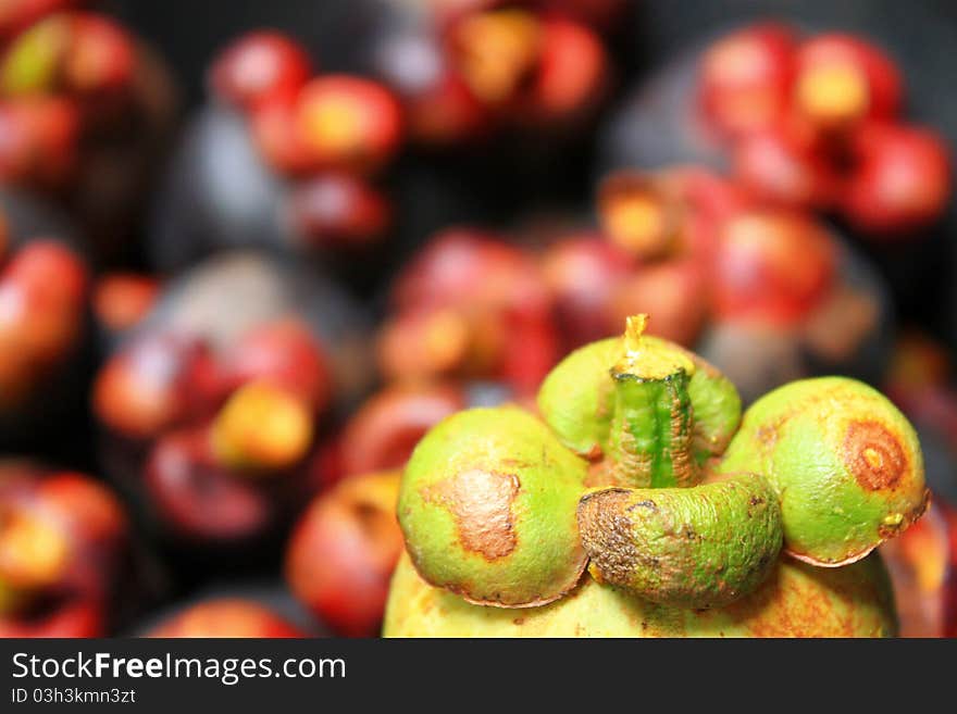 Mangosteen