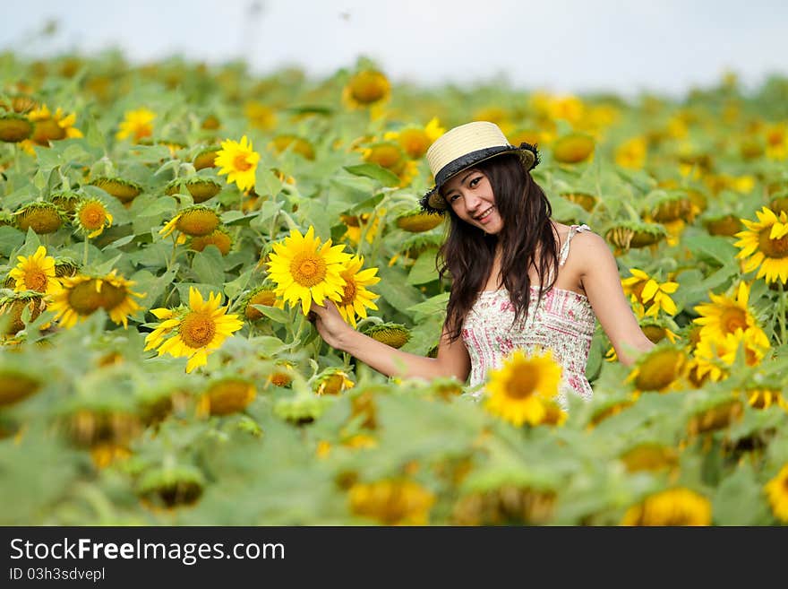 Portrait of a happy young girl in a sunflower field. Portrait of a happy young girl in a sunflower field