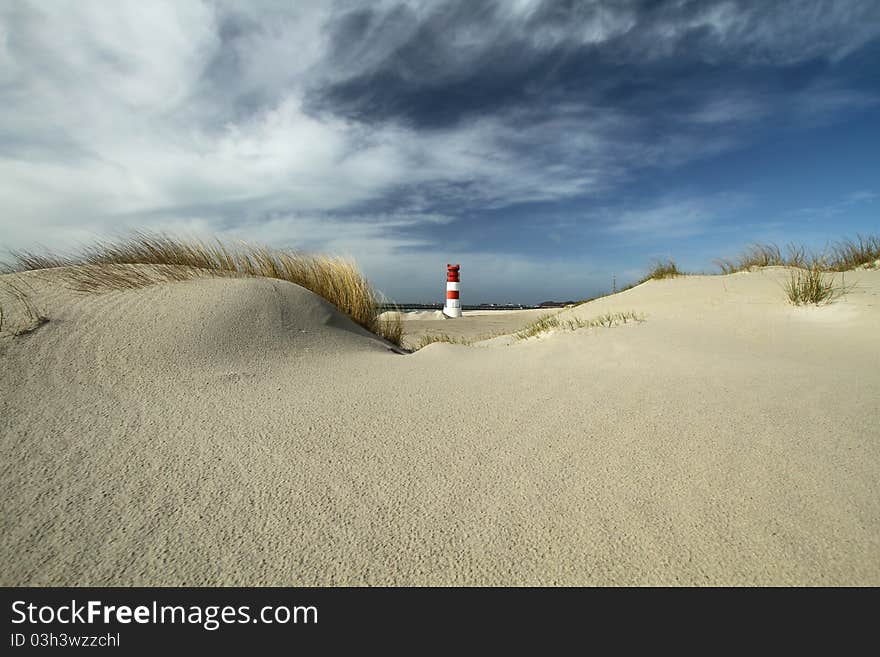 Desert landscape