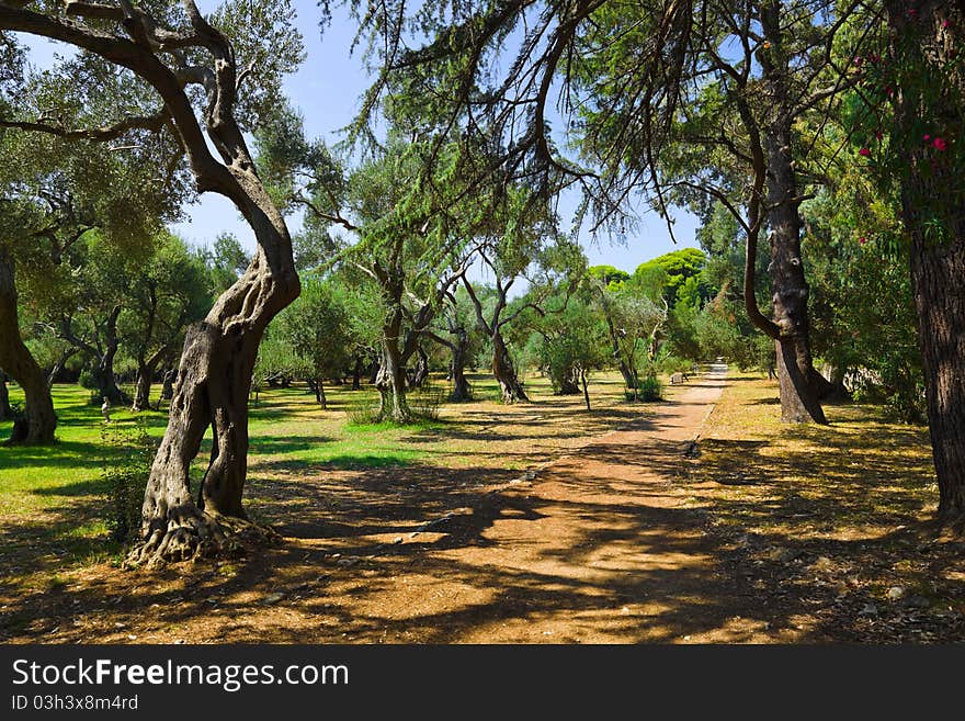 Pathway in park at Croatia