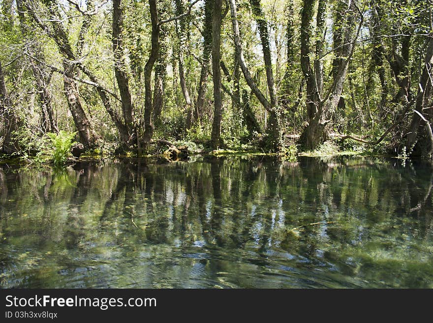 Springs of black river, Ohrid, Macedonia. Springs of black river, Ohrid, Macedonia