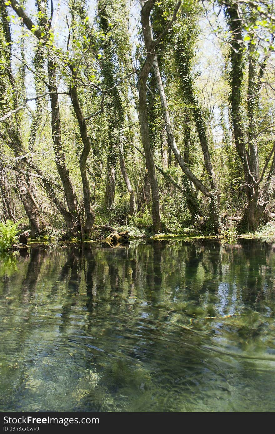 Springs of black river, Ohrid, Macedonia. Springs of black river, Ohrid, Macedonia