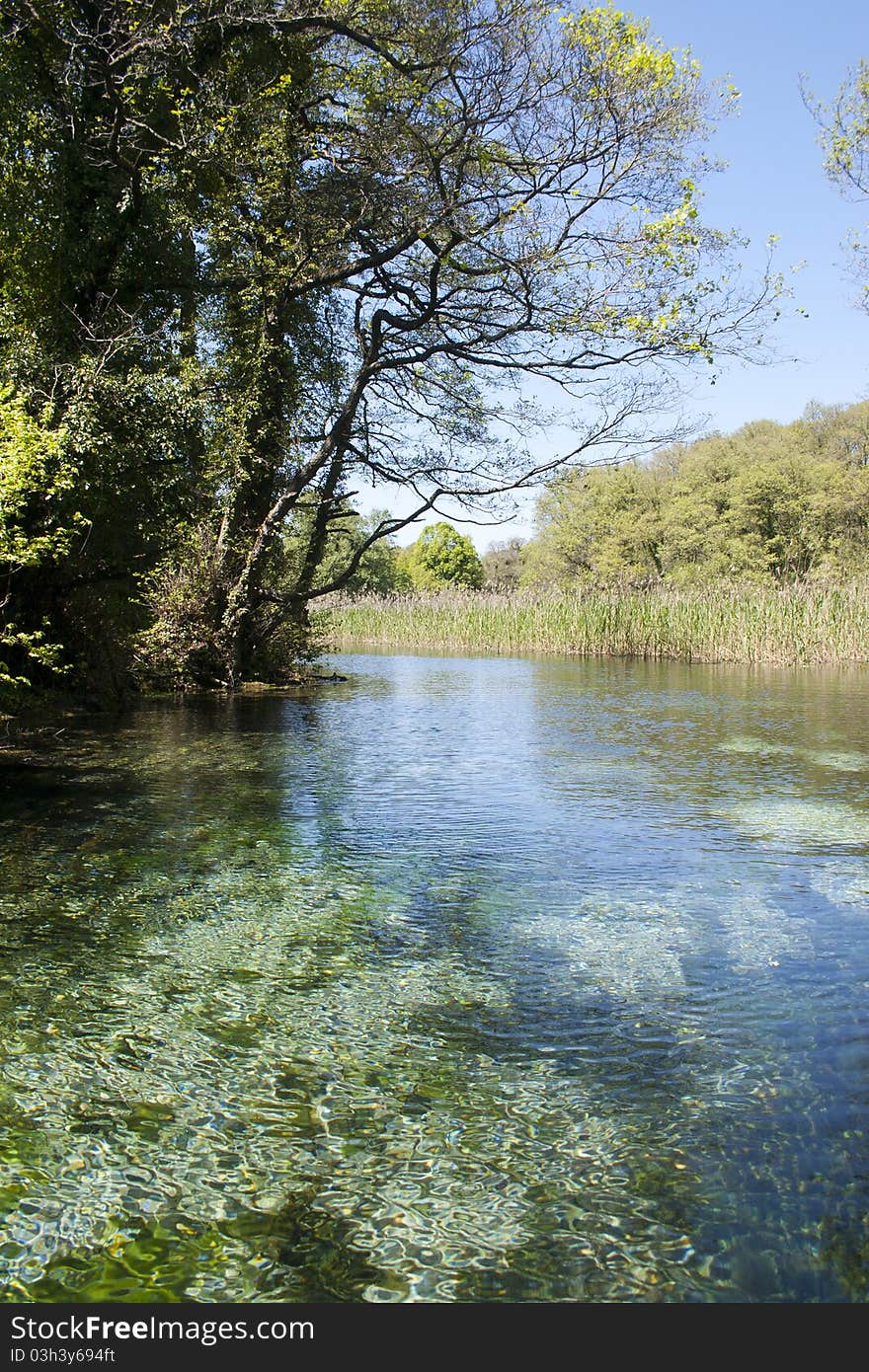 Springs of black river, Ohrid, Macedonia. Springs of black river, Ohrid, Macedonia