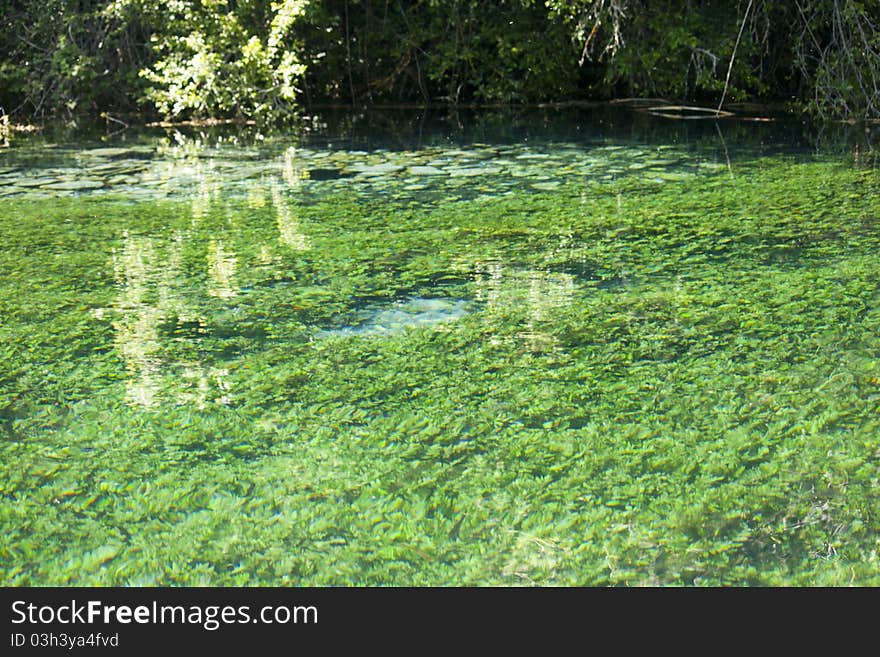 Springs of black river, Ohrid, Macedonia. Springs of black river, Ohrid, Macedonia