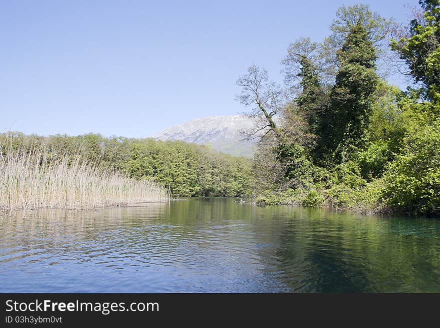 Springs of black river, Ohrid, Macedonia. Springs of black river, Ohrid, Macedonia