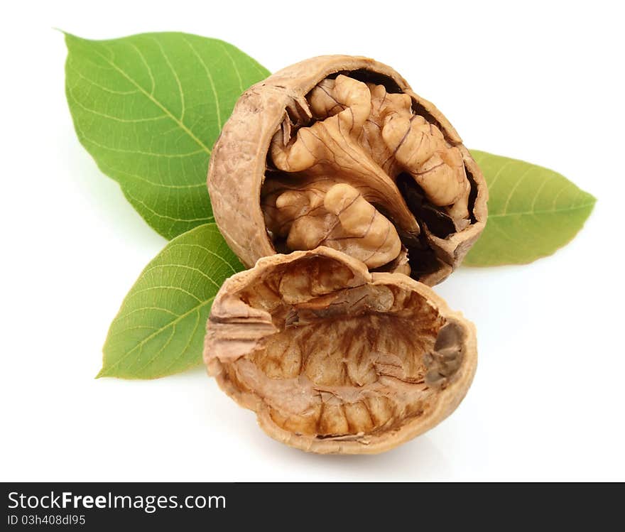 Dried walnut with leaf close up