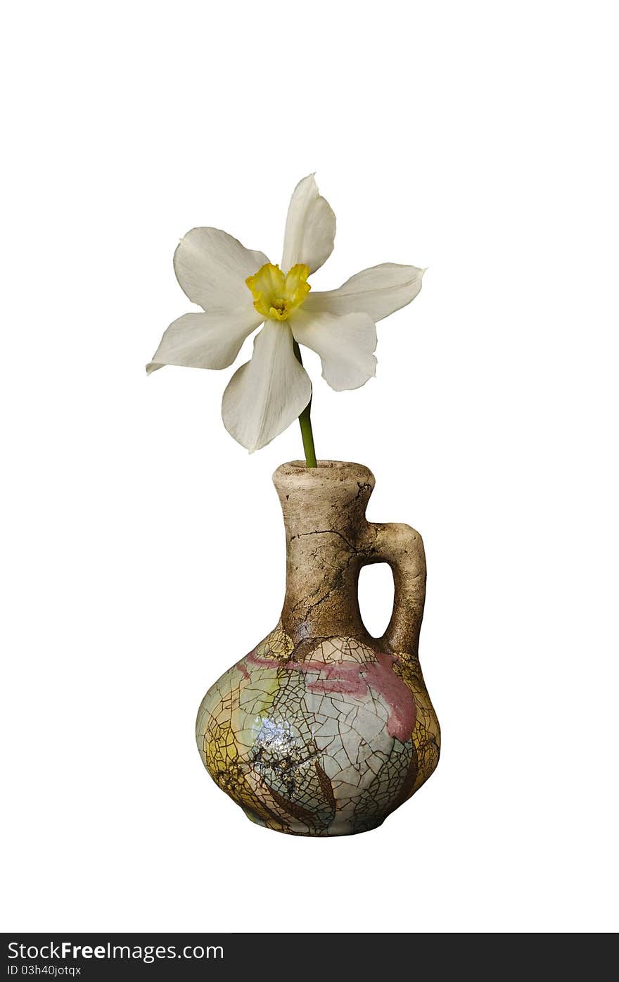 Narcissus in a ceramic jug on the white isolated background