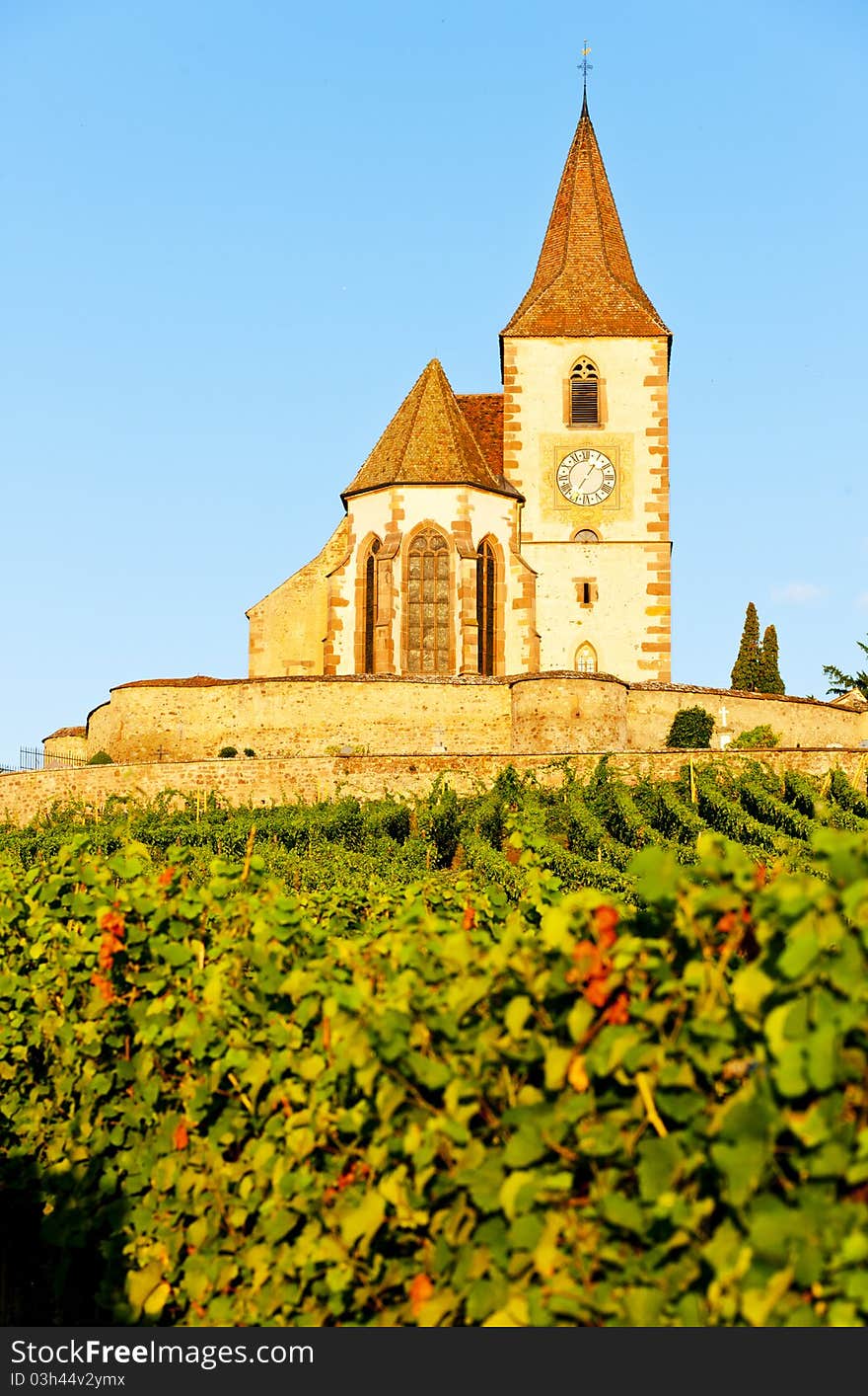 Church with vineyard in Hunawihr, Alsace, France