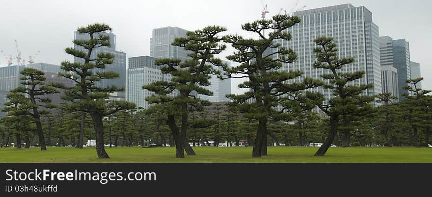 Tokyo Imperial Palace surroundings