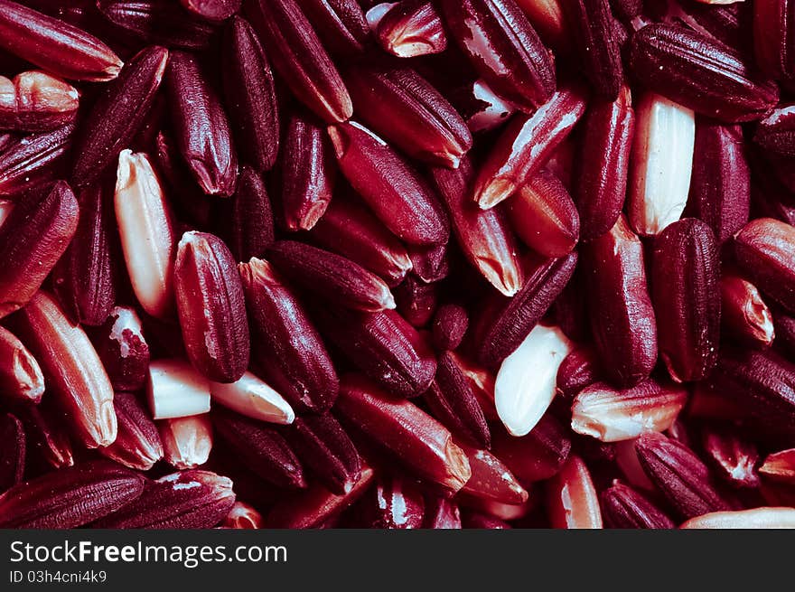 Red rice