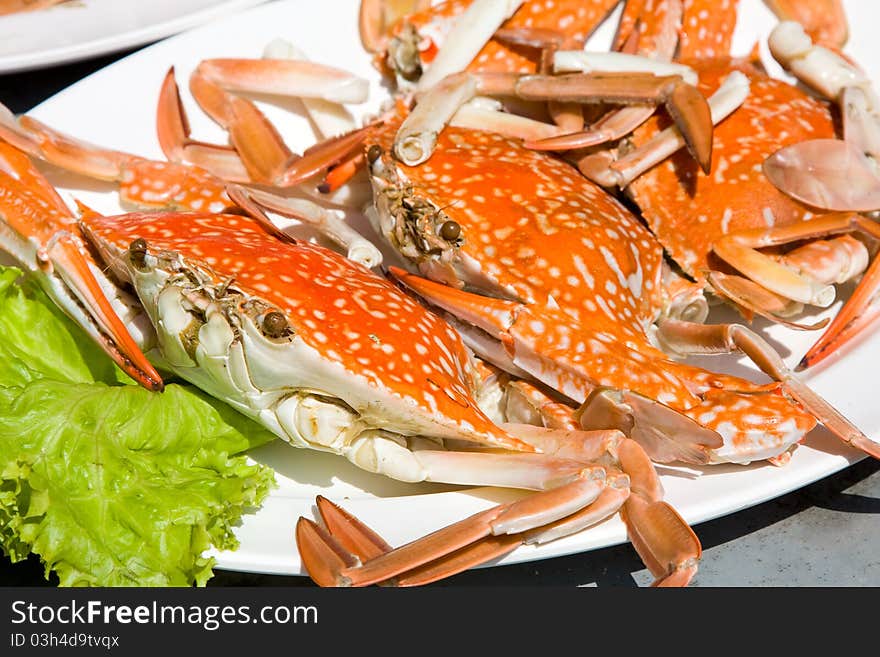 A red crab on a white plate