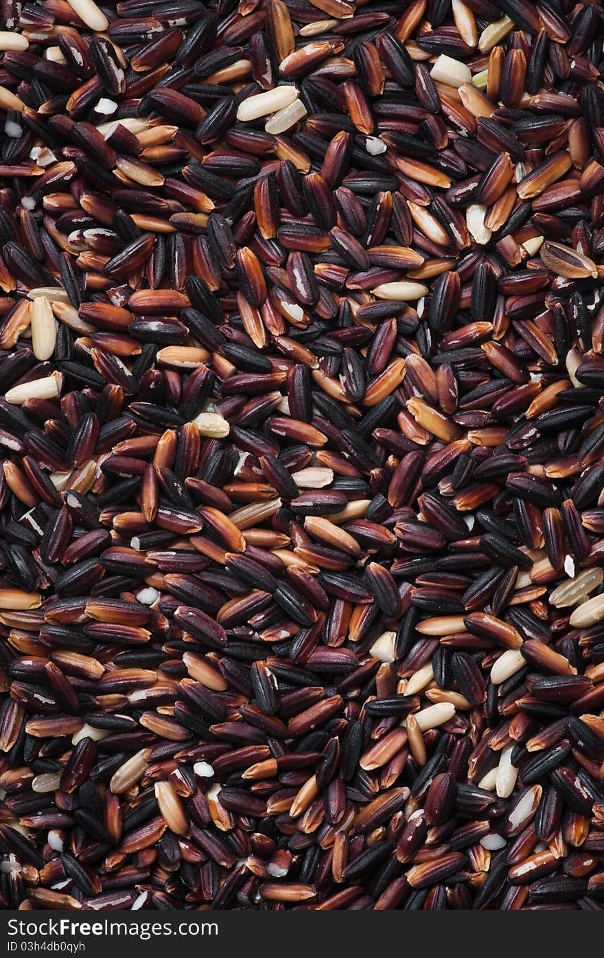 Black rice