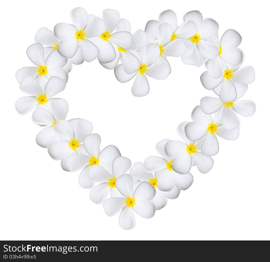 Plumeria flowers heart