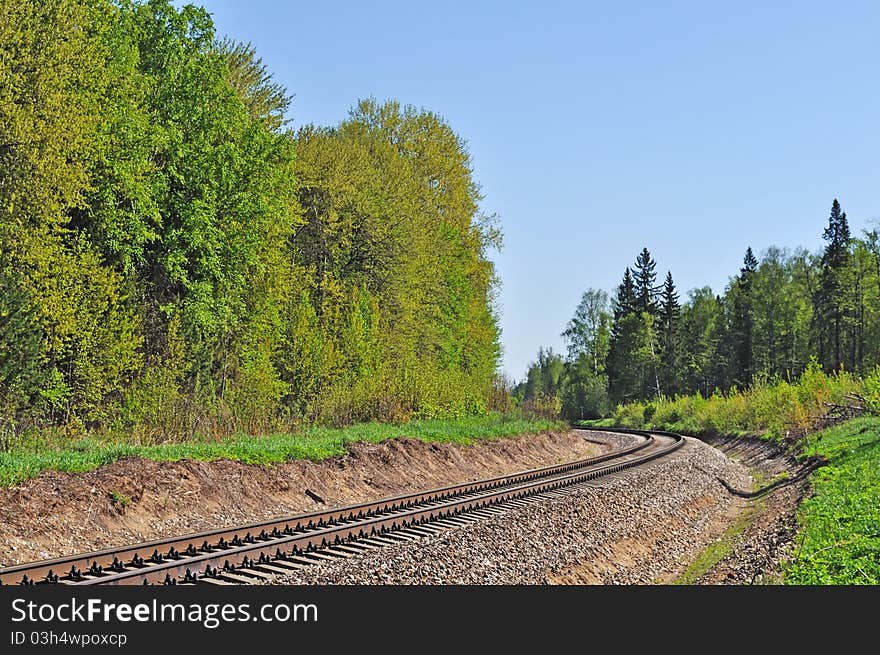 Railroad track in forest