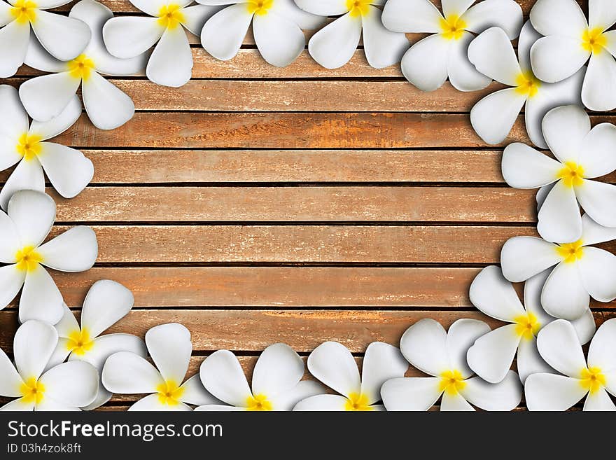 Plumeria flower frame