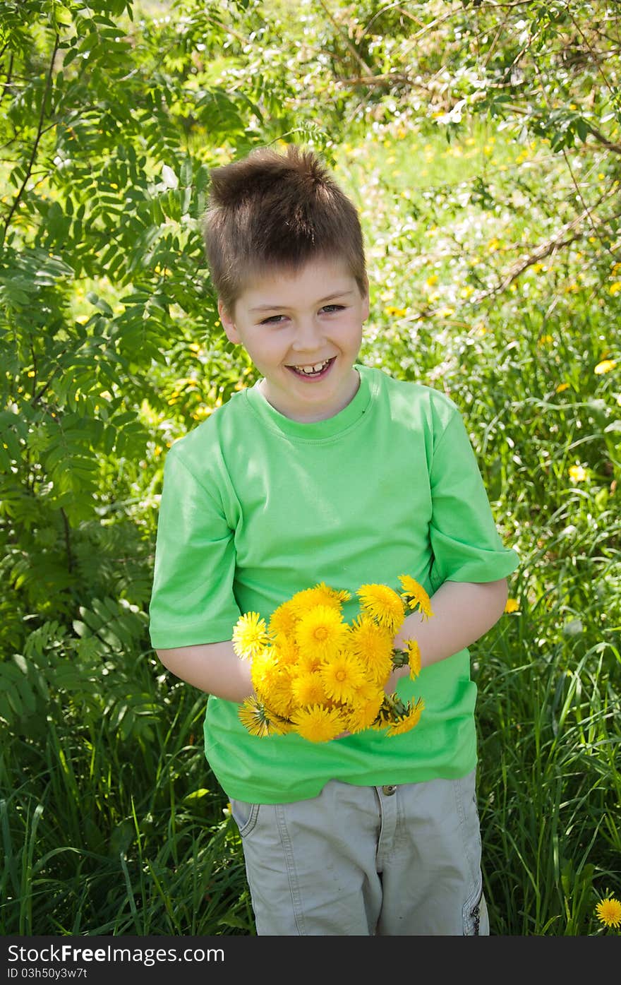 A boy with a bouquet of dandelions. A boy with a bouquet of dandelions