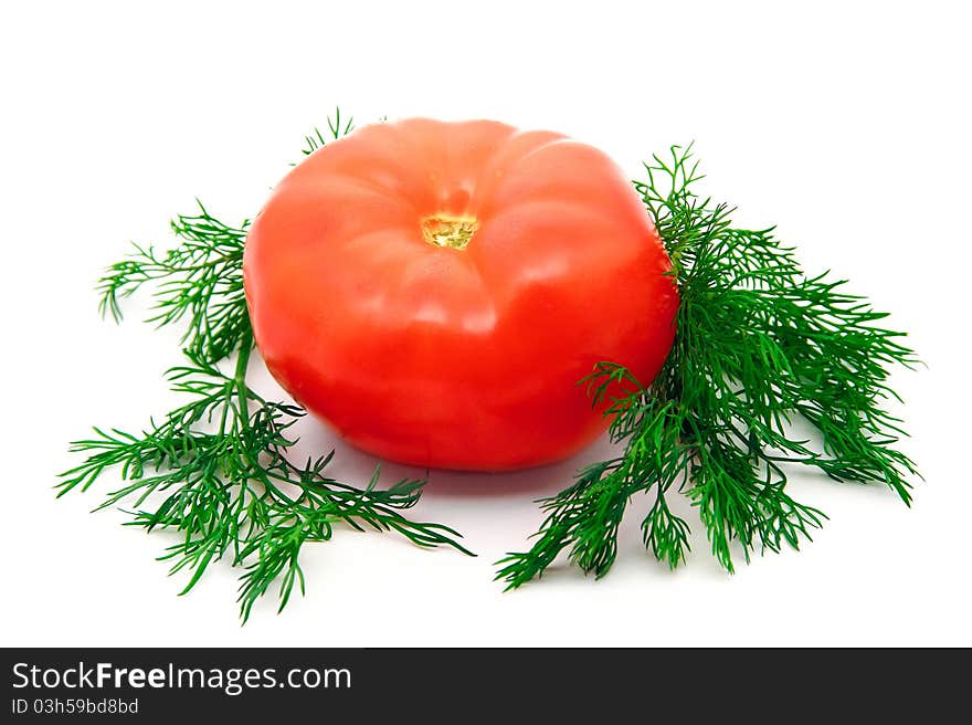 Red tomate and green dill isolated. Red tomate and green dill isolated