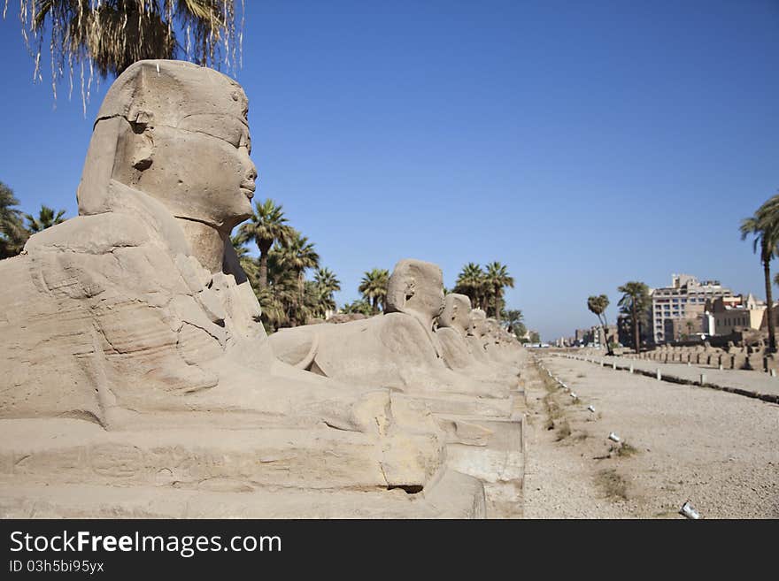 Sphinx Avenue in Luxor, Egypt. Sphinx Avenue in Luxor, Egypt