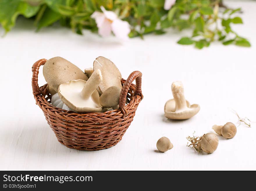 Little basket of mushrooms on white table. Little basket of mushrooms on white table