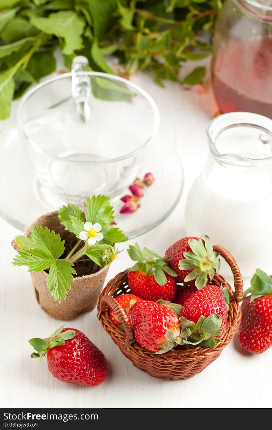 Little basket of fresh strawberries, blossom sprout, empty teacup and jug milk on white table. Little basket of fresh strawberries, blossom sprout, empty teacup and jug milk on white table