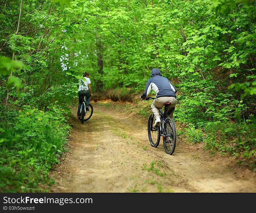 Young Man On A Bicycle