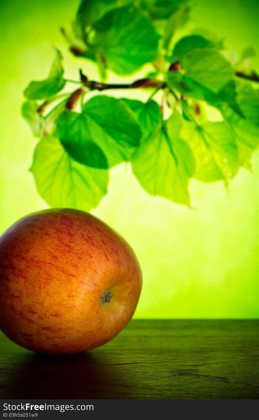 Apple on window sill, with branch on the background. Apple on window sill, with branch on the background.