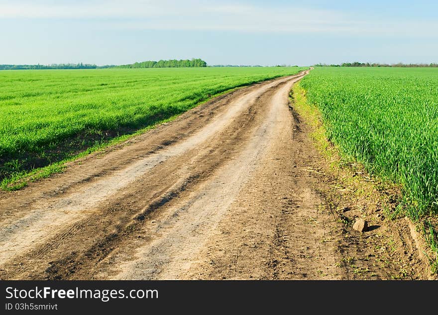 Way among the green fields and blue sky