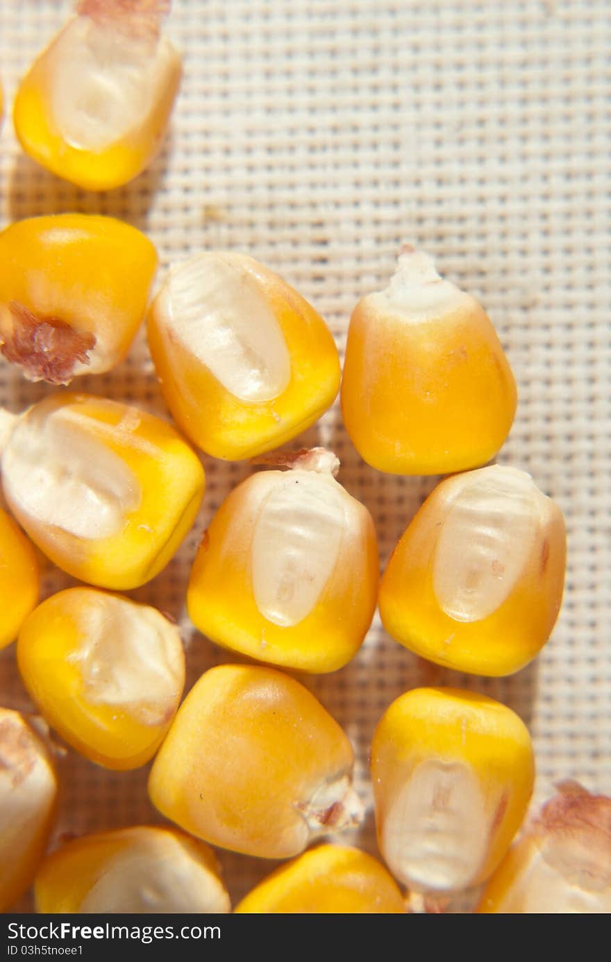 Corn seeds