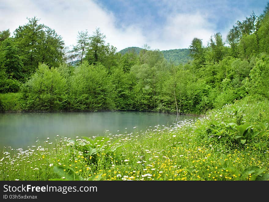 Beautiful mountain summer lake and daisy field