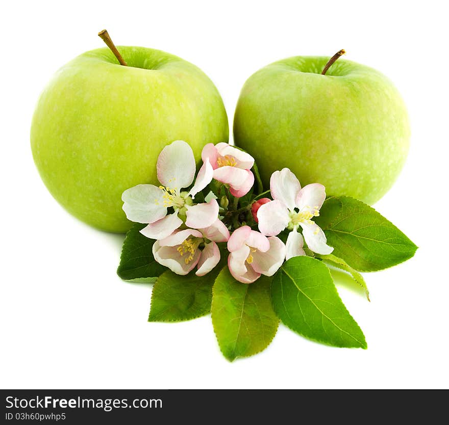 Apples and  blossom on a white background. Apples and  blossom on a white background