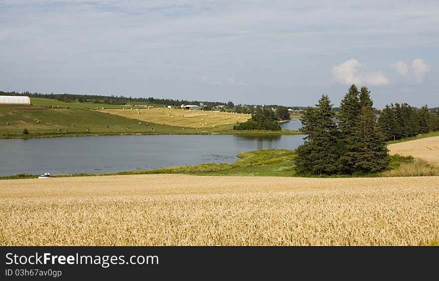 Rural countryside with a river and farmland. Rural countryside with a river and farmland