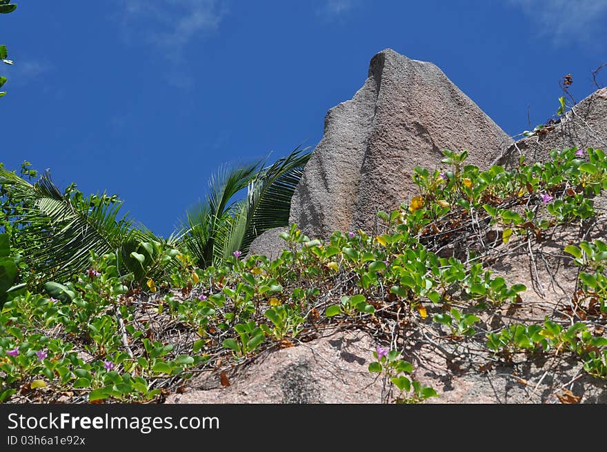 Typical Rock Formation at La Digue, seychelles