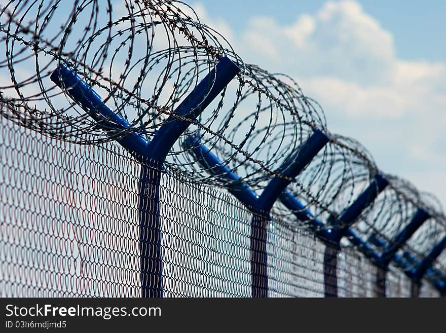 Razor Wire Above a Fence