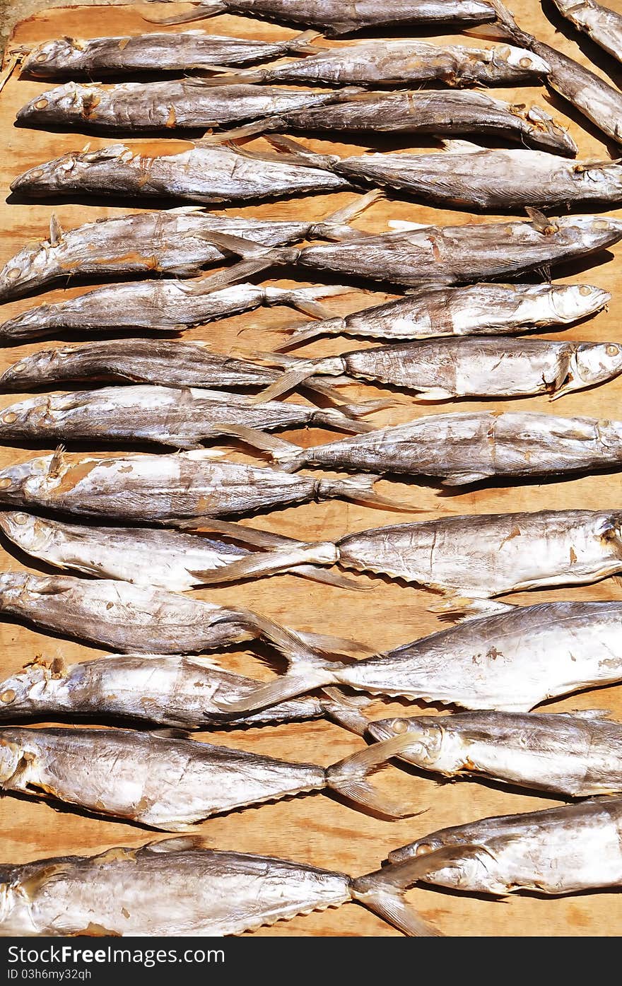 Photo of salted fish dried under the sun at Kota Kinabalu Salted Fish Marked, Sabah Malaysia. Photo of salted fish dried under the sun at Kota Kinabalu Salted Fish Marked, Sabah Malaysia.